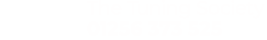 The Tuning Society Logo